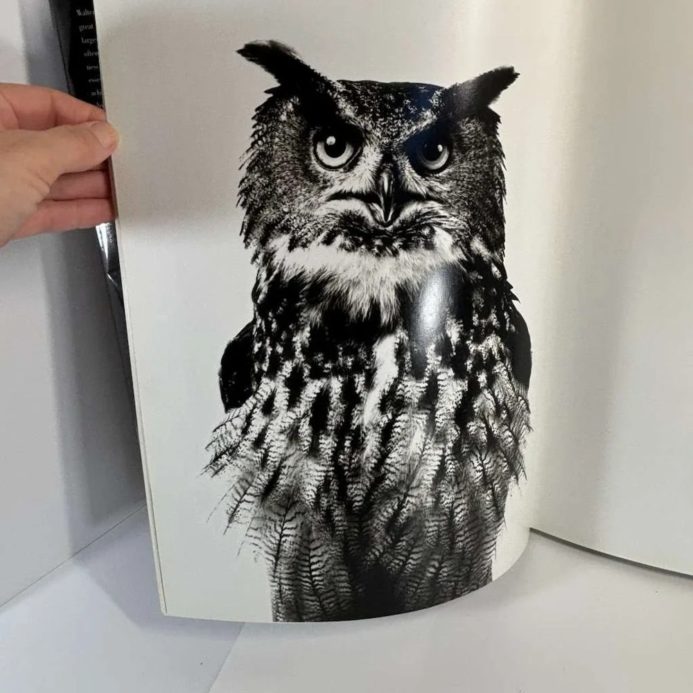 Animal Portraits by Walter Schels (2001 HCDJ) EDITION STEMMLE